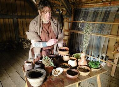 Herigeas Hundas - Hampshire Reenactment