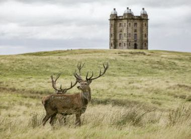 National Trust Images / Arnhel de Serra