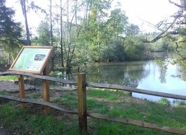 Fernhurst Furnace Preservation Group
