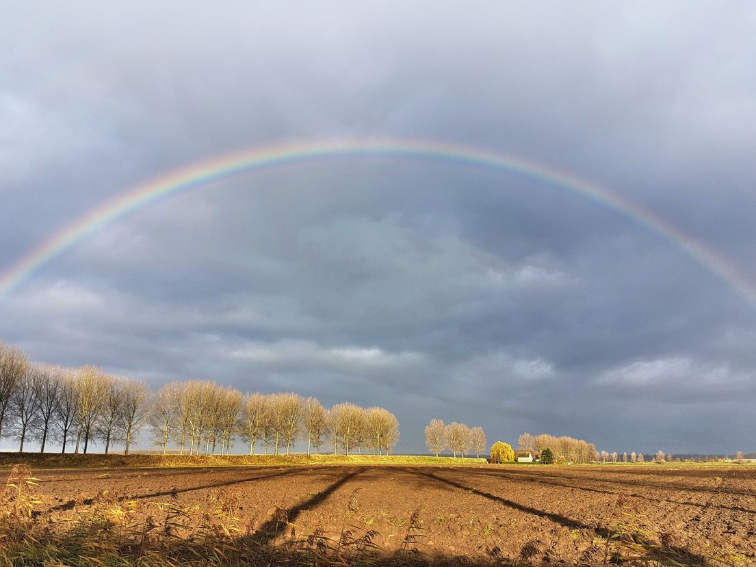 A rainbow in front of a grey clouded sky and above a line of bare winter trees.