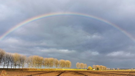A rainbow in front of a grey clouded sky and above a line of bare winter trees.