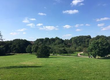 Manor Farm Park 