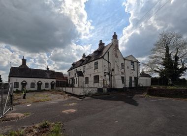 The White Lion