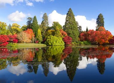 ©National Trust Images/Laurence Perry