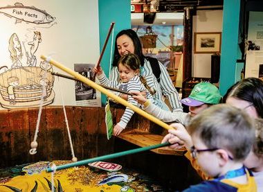 Norfolk Museums Service