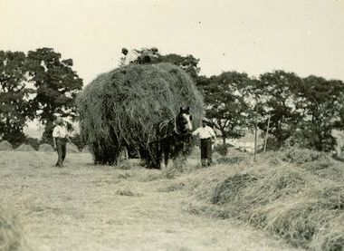 © Headstone Manor & Museum