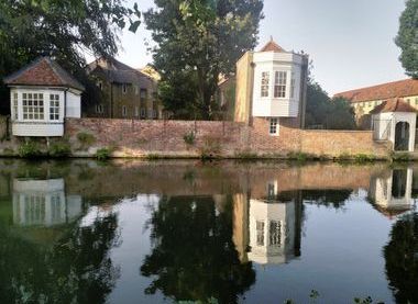Ware Museum