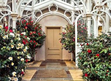Camellia House