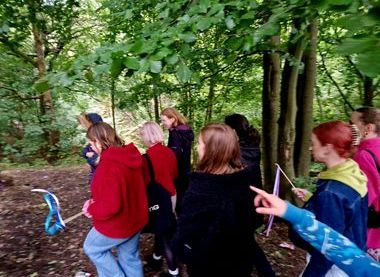 Friends of Bailey's Wood