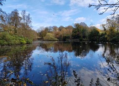 Friends of Graves Park: Graves Park Ponds