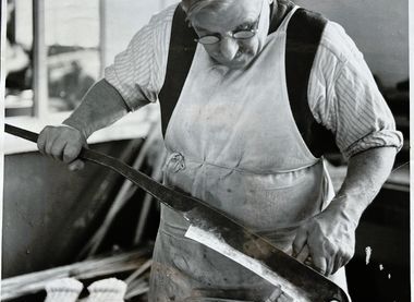 Diss Museum Collections