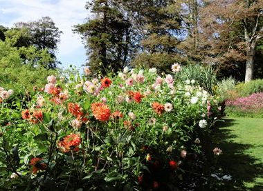 National Trust / Lauren Hutchinson