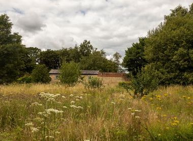 ©National Trust Images/James Beck