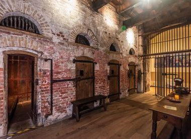 Norfolk Museums Service