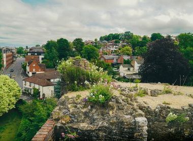Martine Mussies, via Unsplash