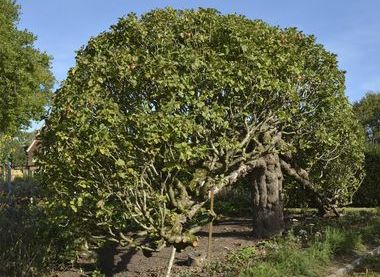 National Trust Images/J Bloxham