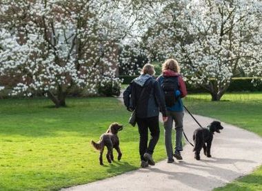 ©National Trust Images/Paul Harris