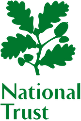 Logo. Green oak leaf.