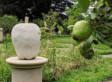 Friends of the Storey Gardens