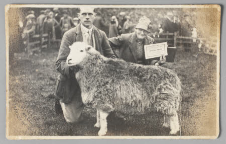 Man kneeling holding a sheep beside a woman holding a certificate.