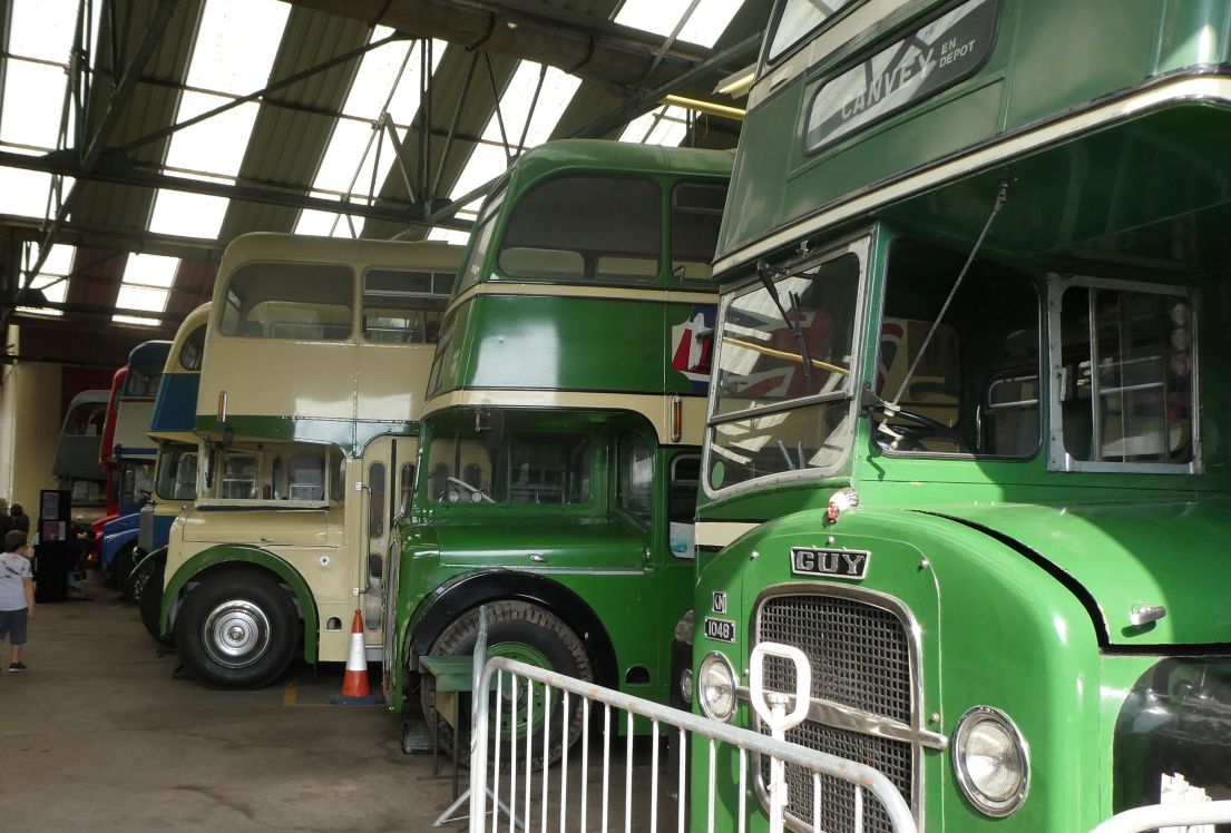 Multiple green and cream vintage buses lined up row in a hanger building.