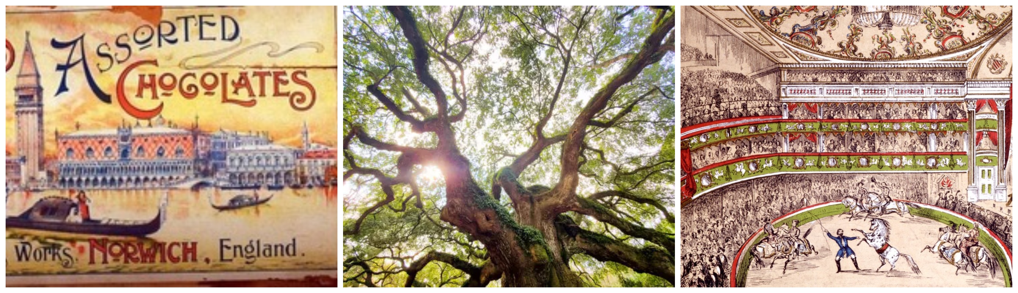 3 images in a row: old illustrated chocolate wrapper, tree, old circus illustration.