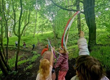 Friends of Bailey's Wood