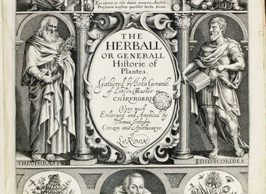 Chapter of Canterbury Cathedral