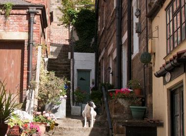 Whitby Civic Society 