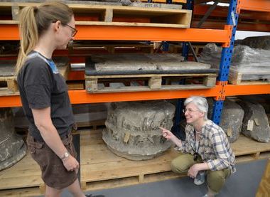 Staff at our Museum store