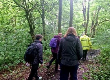 Friends of Bailey's Wood