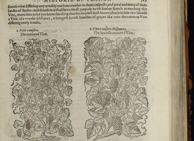 Chapter of Canterbury Cathedral