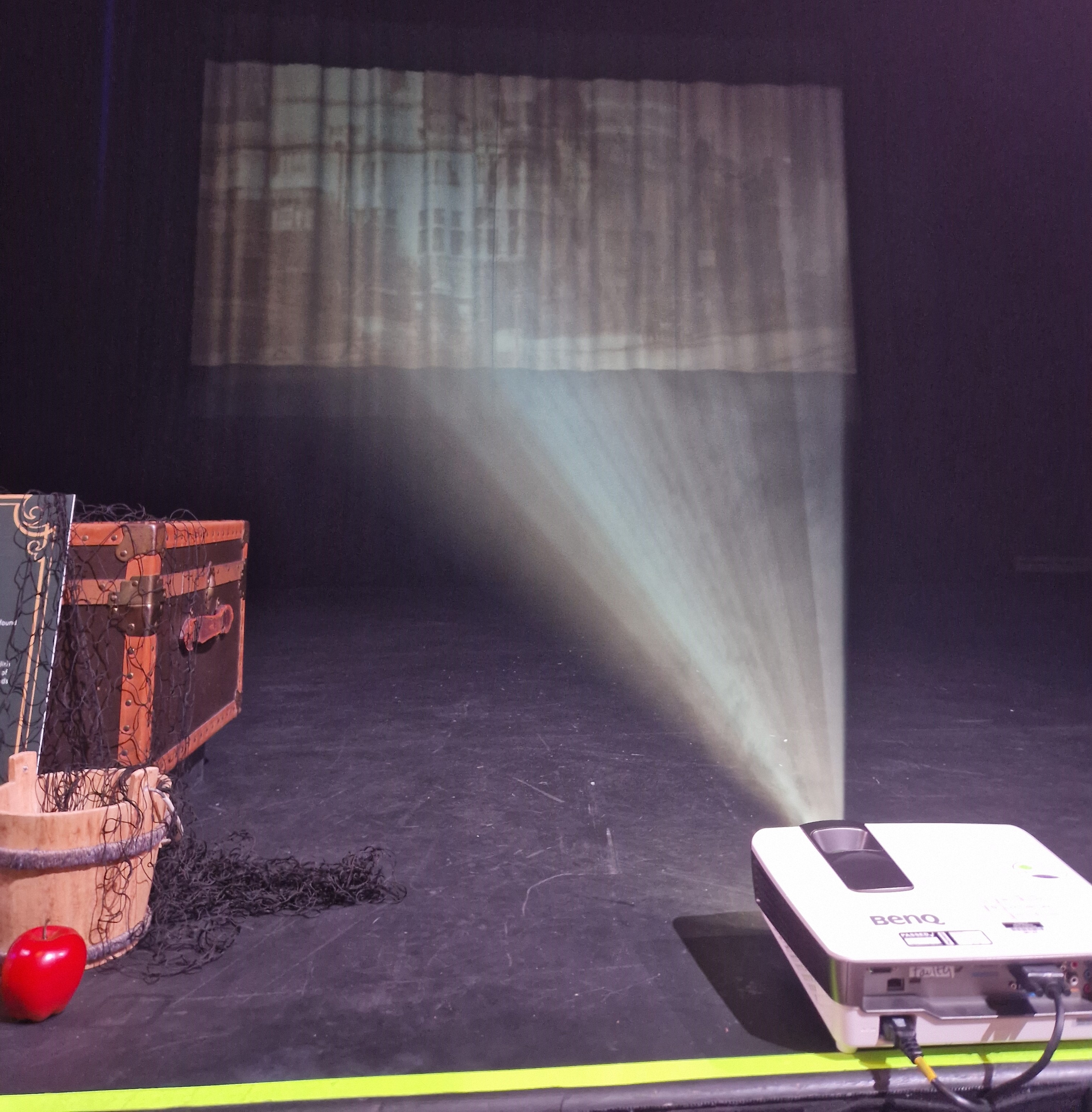 Shadowy image being projected on a gauzy curtain above a black stage.