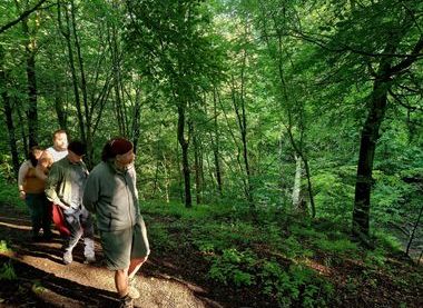 Friends of Bailey's Wood