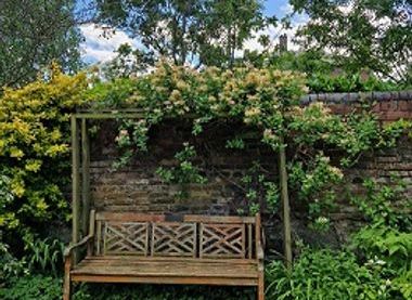 Honeysuckle garden bench !
