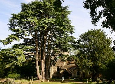 St Nicolas Church Cranleigh