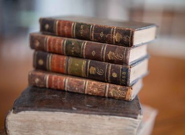 Courtenay Collection, Powderham Castle 