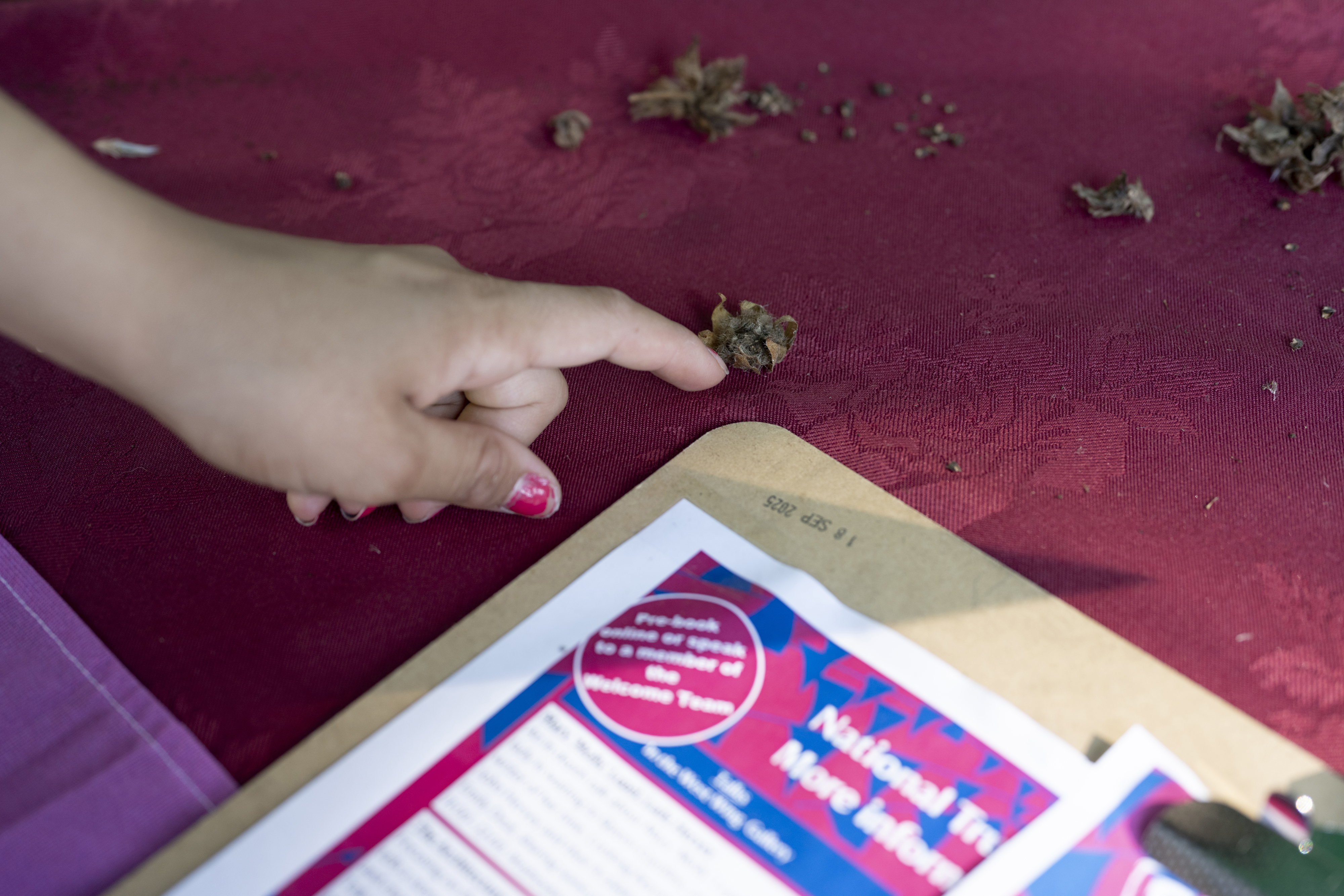 Child's hand pointing at seeds on a table next to a clipboard.