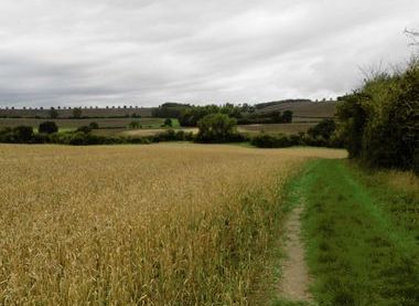 Battlefields Trust