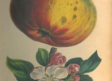 University of Southampton Archives and Special Collections