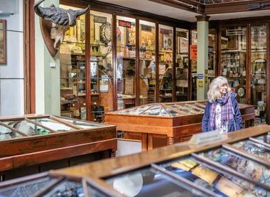 Wisbech & Fenland Museum/Kiff Photography