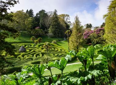National Trust/Jason Ingram