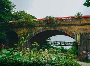 Martine Mussies, via Unsplash