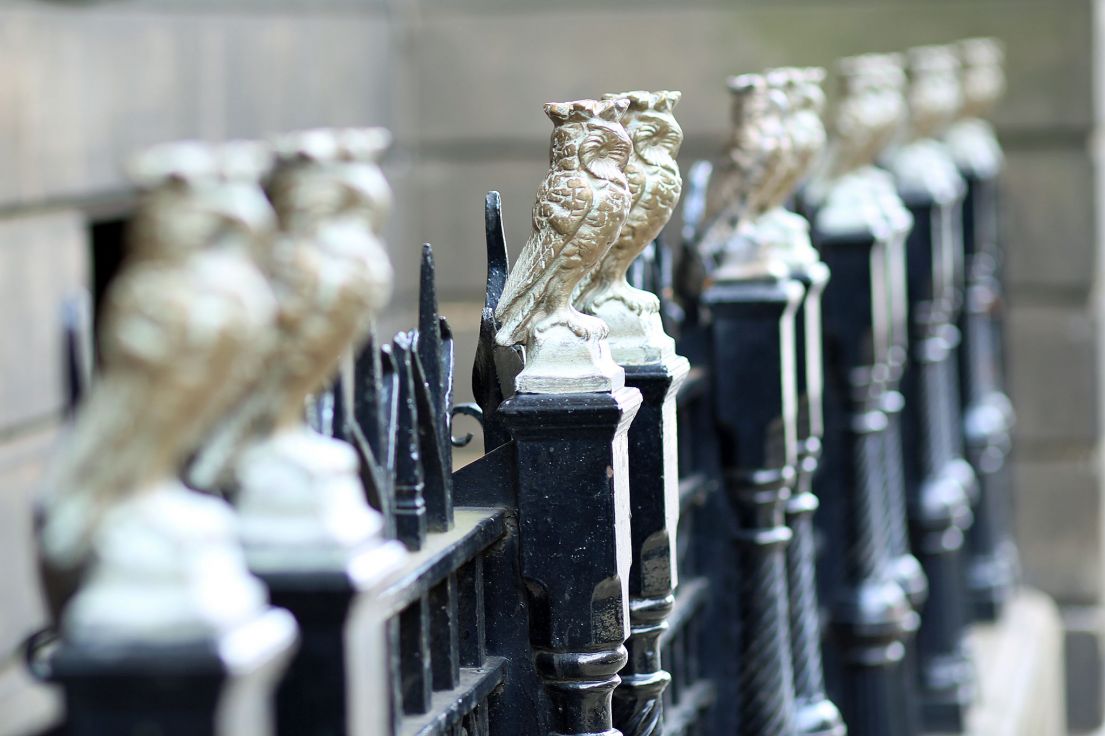 Brass owls on a wrought iron fence.