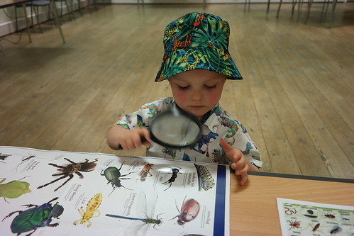 Young boy in safari hat looking at a nature chart through a magnifying glass.