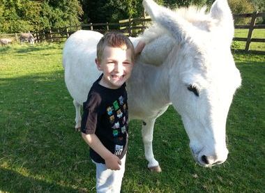 Dodford Children's Farm