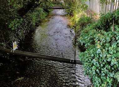 Hyde Mill Stream