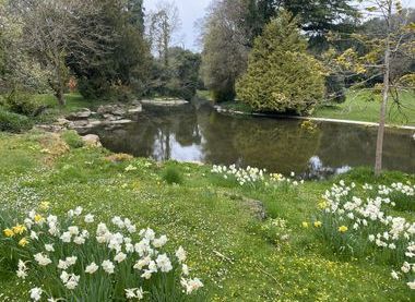 Restored Lake