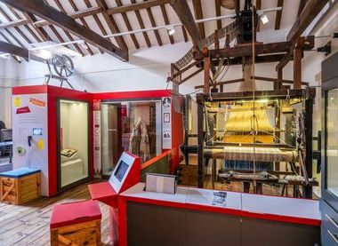 Norfolk Museums Service