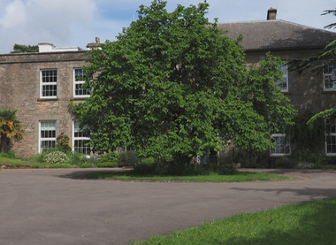 https://www.wilderness-centre.co.uk/